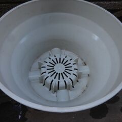 大き目の植木鉢　2個の画像