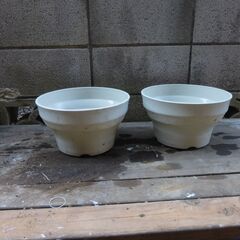 大き目の植木鉢　2個の画像