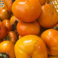 ④柿1袋10個入り安売り‼️の画像