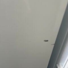 【リユ-スのサカイ広島石内店】ジモティ割！/２ドア冷蔵庫/ハイア-ル/2022年製/クリ-ニング済み/HG-7906/広島市 冷蔵庫　佐伯区 冷蔵庫　南区 冷蔵庫　西区 冷蔵庫　東区 冷蔵庫　中区 冷蔵庫　安佐南区 冷蔵庫　安佐北区 冷蔵庫　安芸区 冷蔵庫　府中町 冷蔵庫　海田町 冷蔵庫　熊野町 冷蔵庫　坂町 冷蔵庫　廿日市市 冷蔵庫			の画像