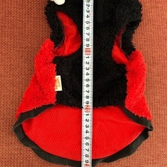 ペットパラダイス　DS てんとう虫　お洋服の画像