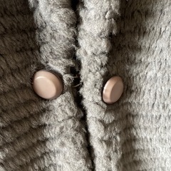 レディースコートの画像