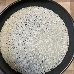 令和7年産にじのきらめき玄米【30キロ】①の画像