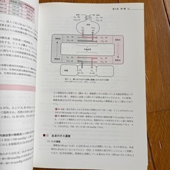 生理学の画像
