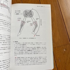 生理学の画像