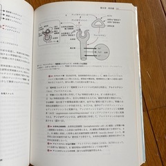 生理学の画像