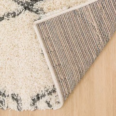 【美品】ニトリ アクセントラグ（リラシャグ）160×235の画像