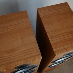 Monitor Audio Bronze BR5（ペア） トールボーイスピーカー｜動作良好｜引取限定になります。の画像