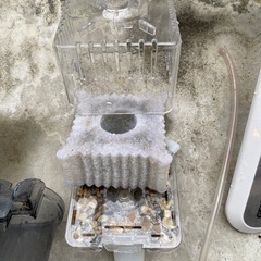 水槽セット　海水魚　淡水魚の画像