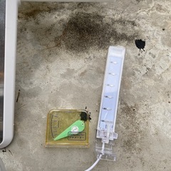 水槽セット　海水魚　淡水魚の画像