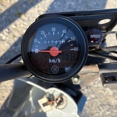 バーディー50の画像