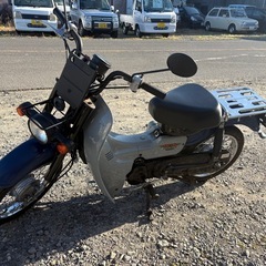 バーディー50の画像