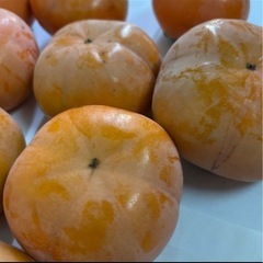 akiraさまお話中◆柿 10個 約2キロの画像
