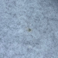 ホットカーペット本体　
4畳の画像