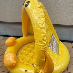 プール　の画像