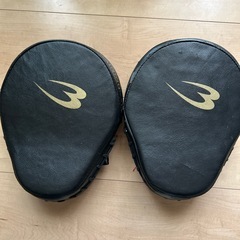 ミット　空手の画像