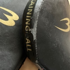 ミット　空手の画像