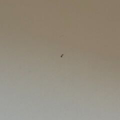 デスク（IKEA LINNMON／ADILS・100×60cm） チェア（IKEA ADDE・ホワイト）の画像