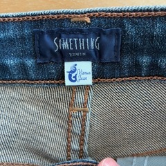 エドウィン　サムシング　ビーナスジーンズの画像