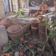 植木鉢の画像