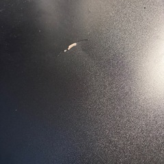 ラックケースの画像