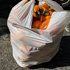 柿、渋柿、袋いっぱいで500円！！の画像