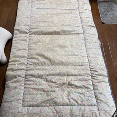 羽毛ふとん布団の画像