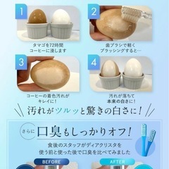 【新品未使用】薬用 ホワイトニング 歯磨き粉 研磨剤不使用 オーラルケア 日本製 45gの画像