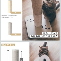バリバリつめとぎポール  猫壱の画像