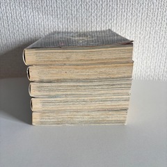 デビルマン 全巻(1〜5巻)セット 文庫版 永井豪の画像