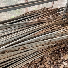 豆の手　きゅうりなどの栽培にもの画像