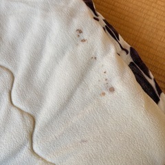 こたつ布団の画像