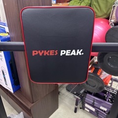 177 PYKES PEAK 懸垂マシンの画像