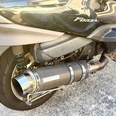 HONDAフォルツァ MF10の画像