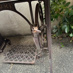 アンティークJUKI足踏みミシンの画像