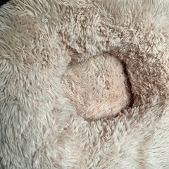 ペットベッド ドーナツ型の画像