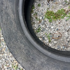 無料　タイヤ2本の画像