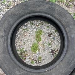 無料　タイヤ2本の画像