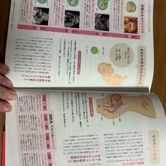初めての妊娠出産新百科　ミニの画像