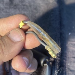 CD50 CD90 ベンリィー　サイドスタンドインジケーターランプの画像