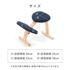 バランスチェア　バランスイージーの画像