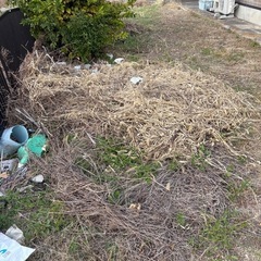 草・木の処分をお願いしますの画像