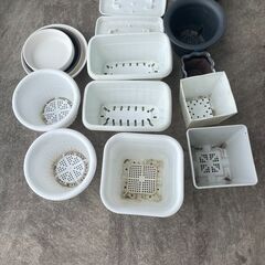 観葉植物用プラスティック鉢10個の画像