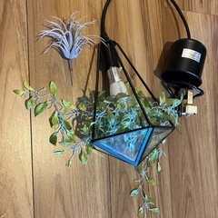 ペンダントライト ジェリコ スタイリッシュ！の画像