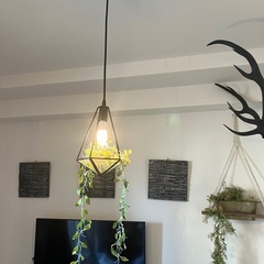 ペンダントライト ジェリコ スタイリッシュ！の画像