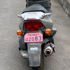 PGO t-REX 125 4サイクル車の画像
