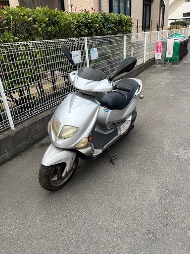 PGO t-REX 125 4サイクル車