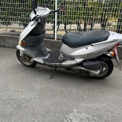 PGO t-REX 125 4サイクル車の画像