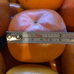 A【お取り引き決定】渋抜き済み柿　平柿　種無し約30個の画像