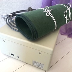 サンメディオン v12000  ファイテンの画像